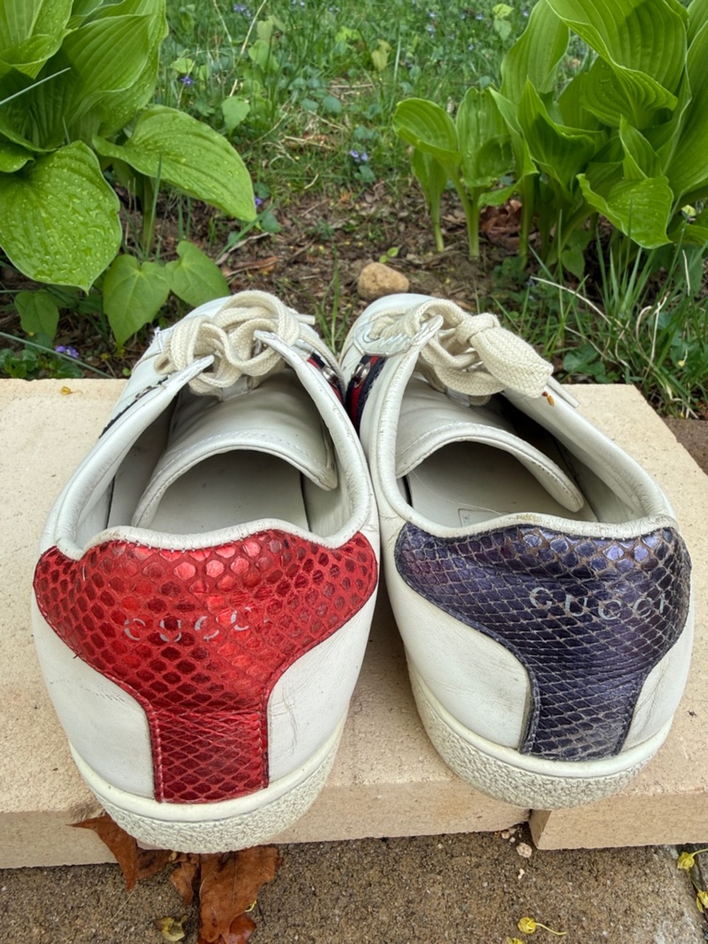 Gucci White Leather Low-Top Sneakers with Red and Navy Stripe - Picture 4 of 10